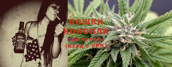 прущие грибы Нея