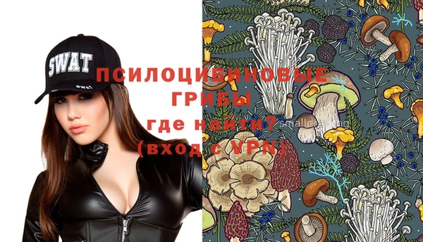 прущие грибы Нея