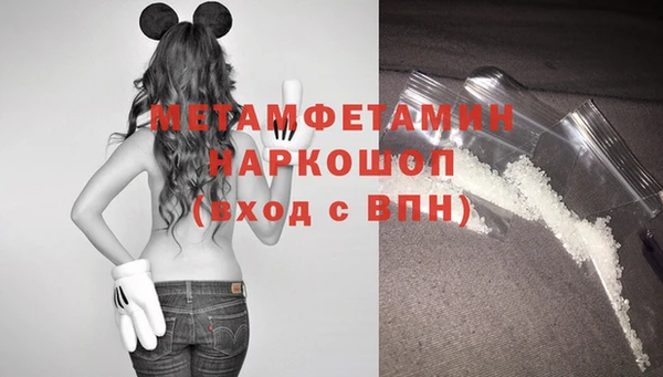 прущие грибы Нея