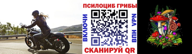 Галлюциногенные грибы прущие грибы  Купить закладки  Березники 